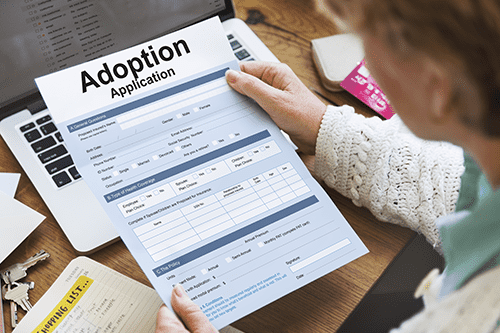 Adoption Application