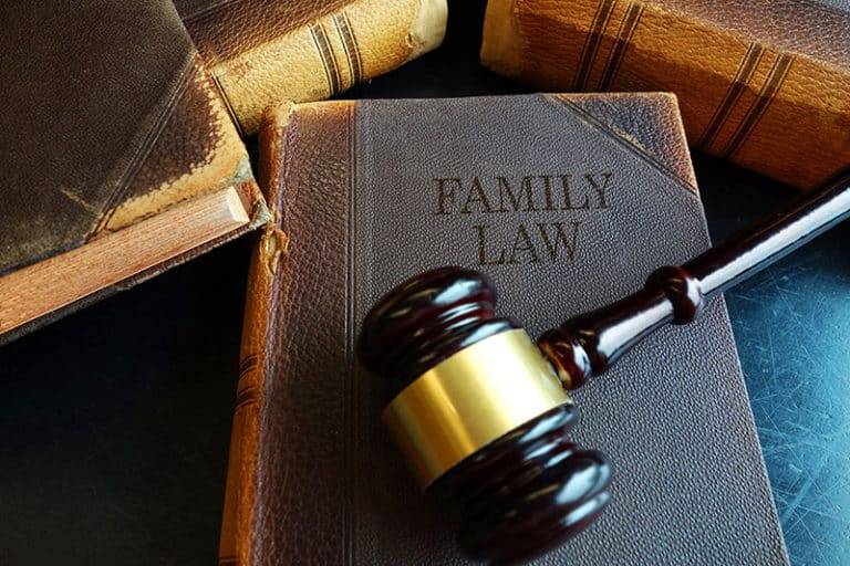 Your Guide in Family Cases