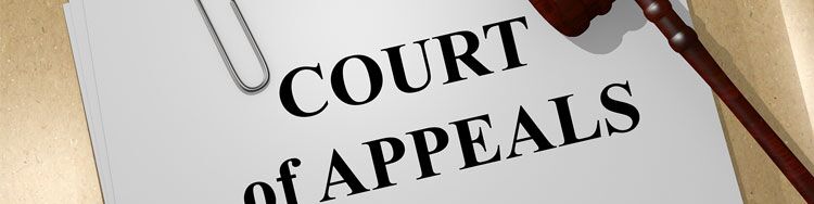 Man convicted for indecent assault by the Dubai courts appeals decision